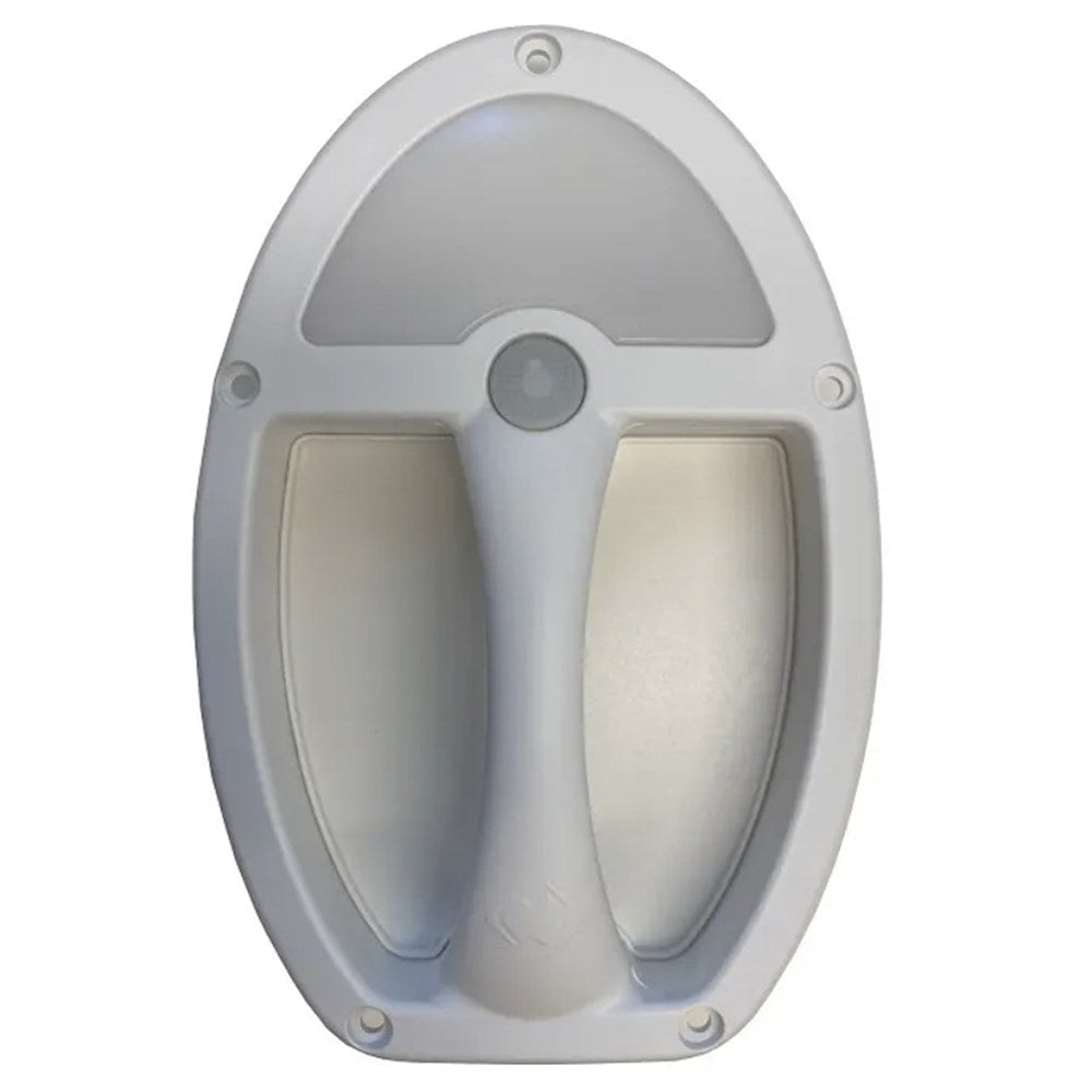 LIGHT & GRAB HANDLE WHITE LED
