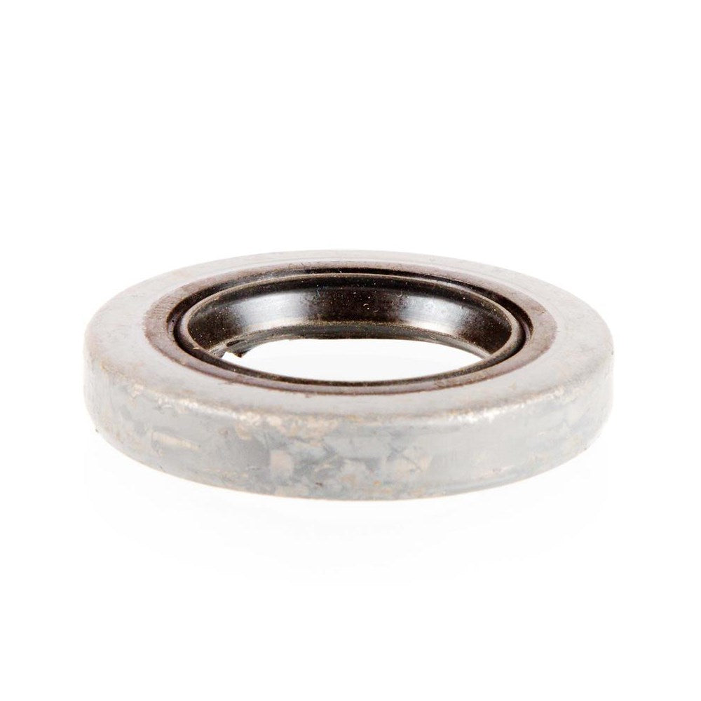 SEAL HOLDEN DBL LIP 28570